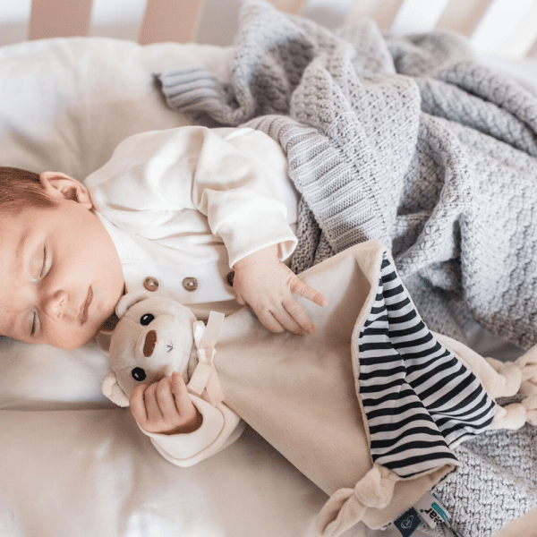 doudou ourson whisbear