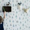 Papier peint Into the Wild