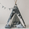 tipi night sky 2
