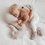 coussin d'allaitement hippocampe nepto – café latté1