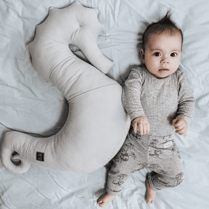 coussin d'allaitement hippocampe nepto – gris1