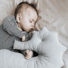 coussin d'allaitement hippocampe nepto – gris4
