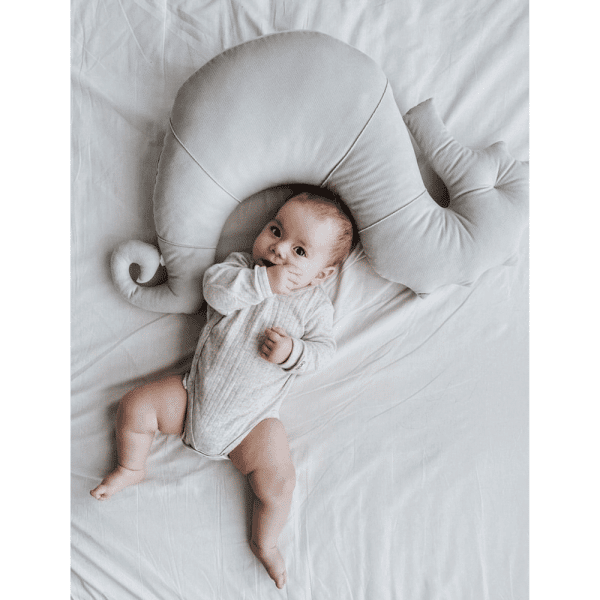 coussin d'allaitement hippocampe nepto – gris5