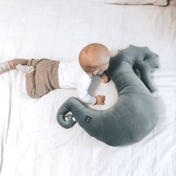 coussin d'allaitement hippocampe nepto – kaki4
