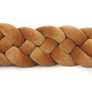 cannelle 1