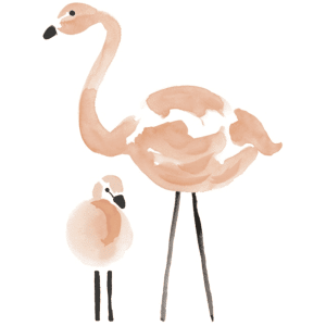 sticker flamingo flamant rose lilipinso1
