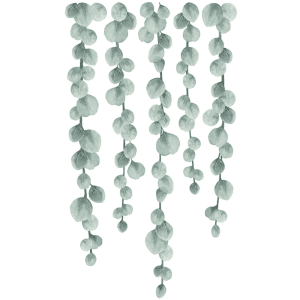 sticker liane de feuilles tombantes lilipinso1