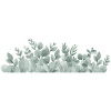stickers feuilles d'eucalyptus lilipinso1