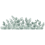 stickers feuilles d'eucalyptus lilipinso1