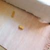 tapis kirthy nude nattiot